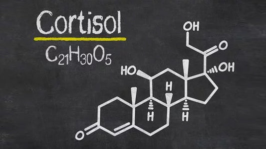 Supplements to Reduce Cortisol Levels